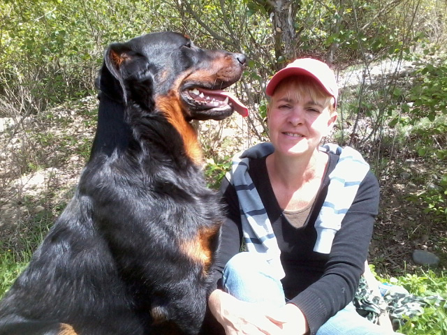 Domainedelalicorne Fr Elevage De Beauceron Chiot Beauceron Pure Race Elevage Du Clos De La Licorne Elevage