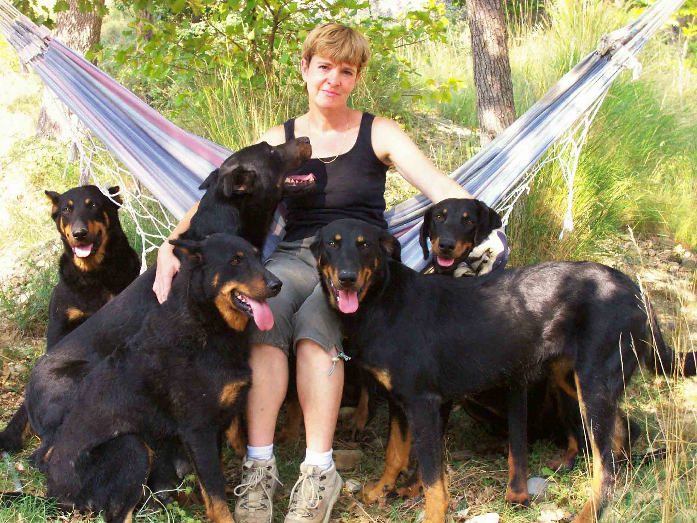 Elevagedelalicorne Licorne Ane Provence Anesse Anon Poney Ponette Beauceron Berger Beauce Basrouge Chiot Chien Chienne Gardien Doux Obeissant Courageux Massif Poule Sussex Negre Soie Canard Pompon Indien Paon Paonne Bleu Pigeon Vache