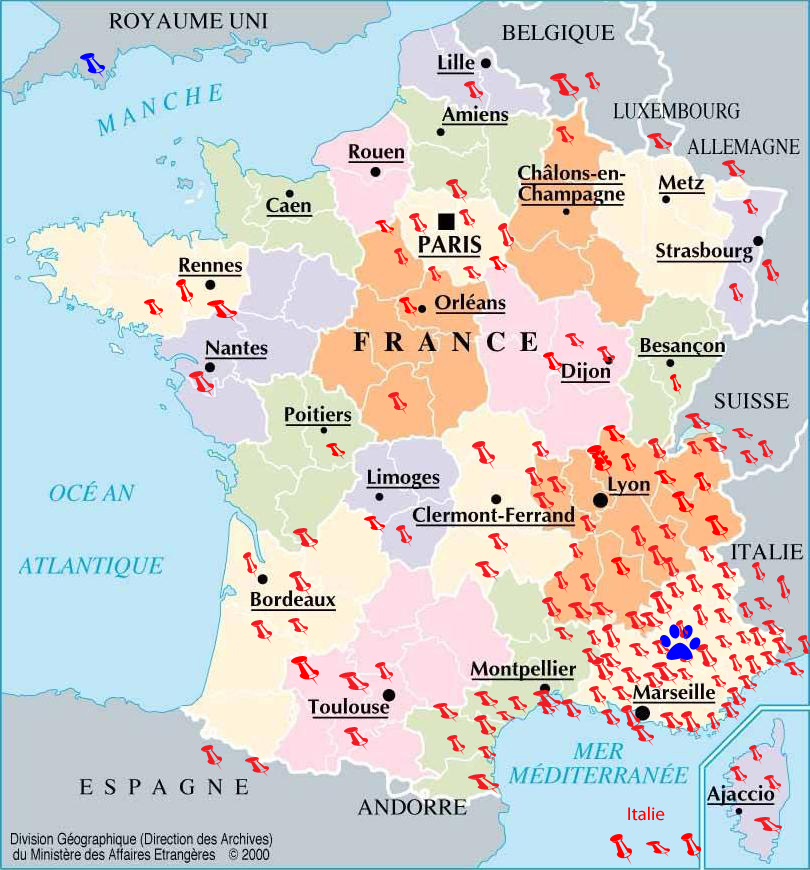 domainedelalicorne.fr Elevage de beauceron chiot beauceron pure race élevage du clos de la licorne elevage des gardiens de la licorne elevage beauceron noir et feu authentique gros gabarits élevage de Beauceron familial sérieux et qualité domainedelalicorne.fr suivi des chiots conseil d’éducation chiot propre bas rouge santé caractère spécialiste du beauceron noir et feu ou arlequin chien rustique berger de France  nos chiots sont élevés avec amour et attention notre passion au service de la qualité Beauceron de qualité et sportif domaine de la licorne 04380 BARRAS élevage en liberté éleveur berger de beauce élevage de beauceron de travail 