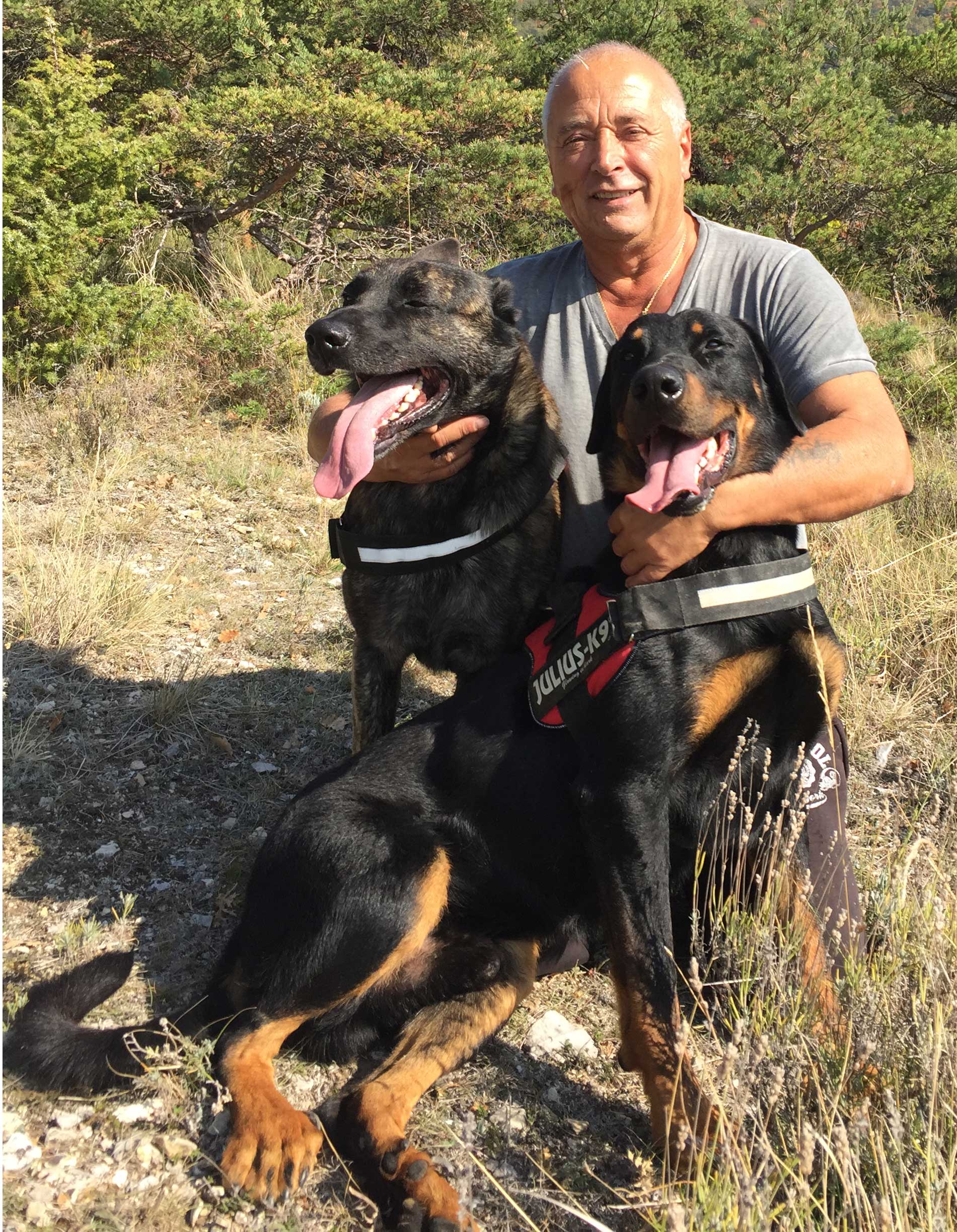  domainedelalicorne.fr photo chien beauceron photo chiot beauceron Elevage de beauceron chiot beauceron pure race élevage du clos de la licorne elevage des gardiens de la licorne elevage beauceron noir et feu authentique gros gabarits élevage de Beauceron familial sérieux et qualité domainedelalicorne.fr suivi des chiots conseil d’éducation chiot propre bas rouge santé caractère spécialiste du beauceron noir et feu ou arlequin chien rustique berger de France  nos chiots sont élevés avec amour et attention notre passion au service de la qualité Beauceron de qualité et sportif domaine de la licorne 04380 BARRAS élevage en liberté éleveur berger de beauce élevage de beauceron de travail 06 11 20 51 93 site domainedelalicorne.fr mail domainedelalicorne@gmail.com